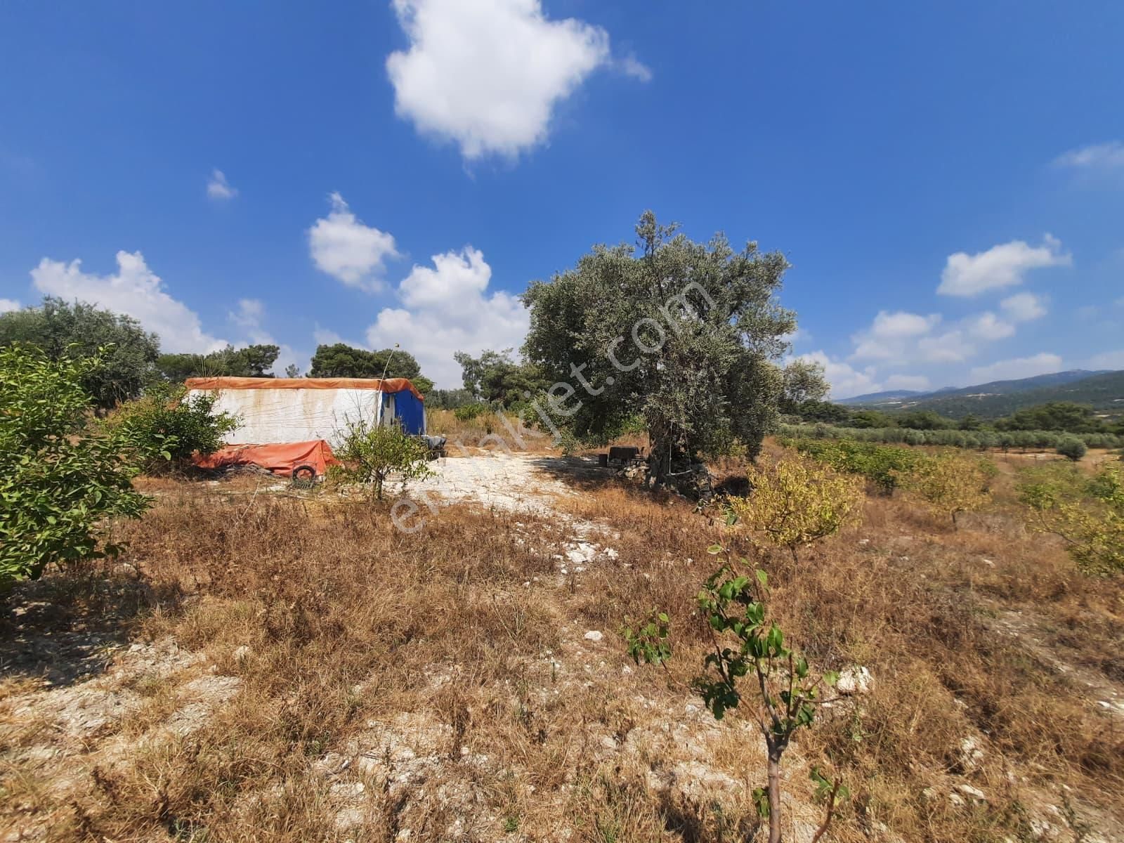 Mersin Toroslar Çelebilide Bn Termal Otel Civarı 5950m2 Tarla - Görsel 2