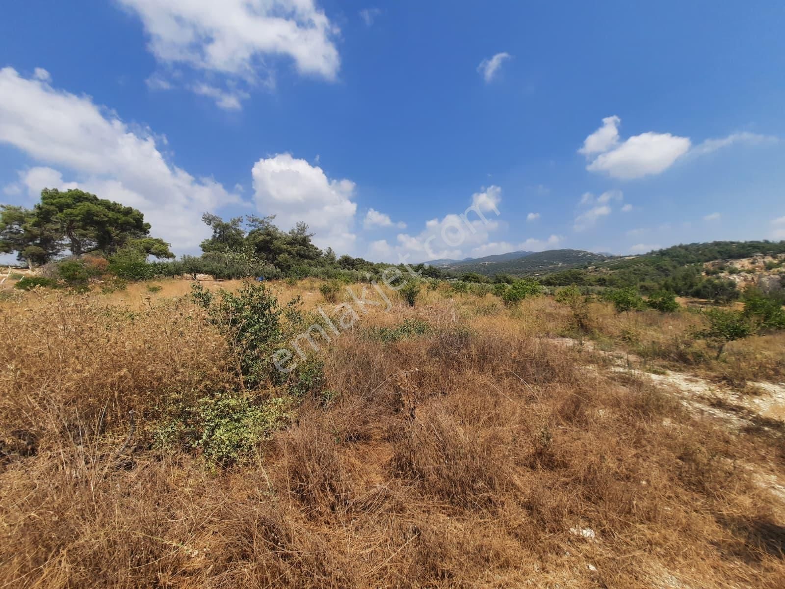 Mersin Toroslar Çelebilide Bn Termal Otel Civarı 5950m2 Tarla - Görsel 6