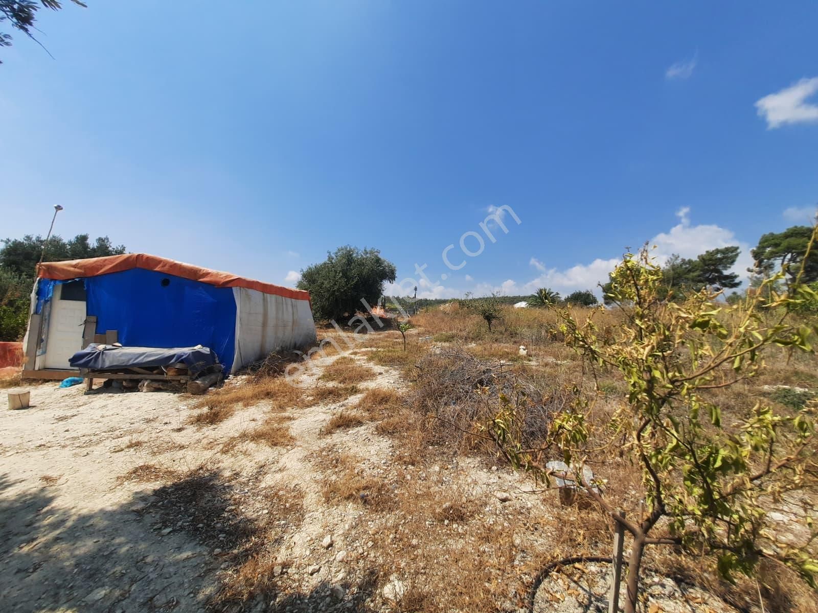 Mersin Toroslar Çelebilide Bn Termal Otel Civarı 5950m2 Tarla - Görsel 5