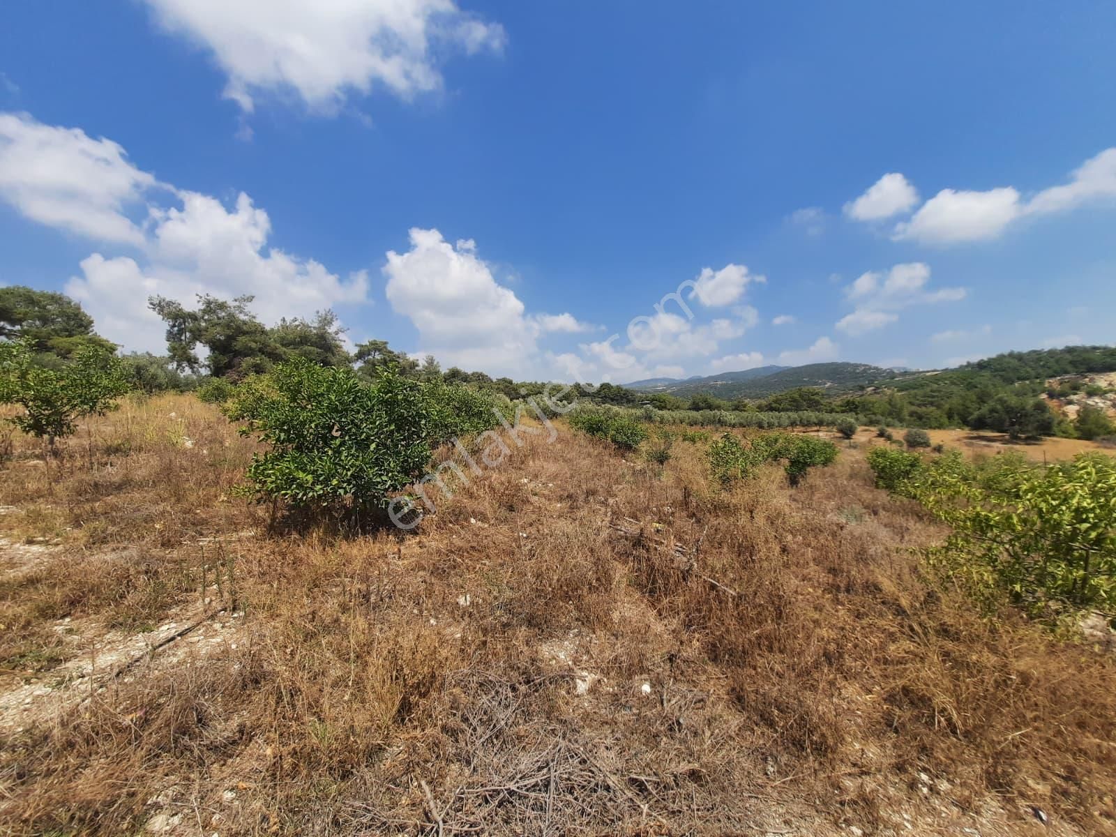 Mersin Toroslar Çelebilide Bn Termal Otel Civarı 5950m2 Tarla - Görsel 3