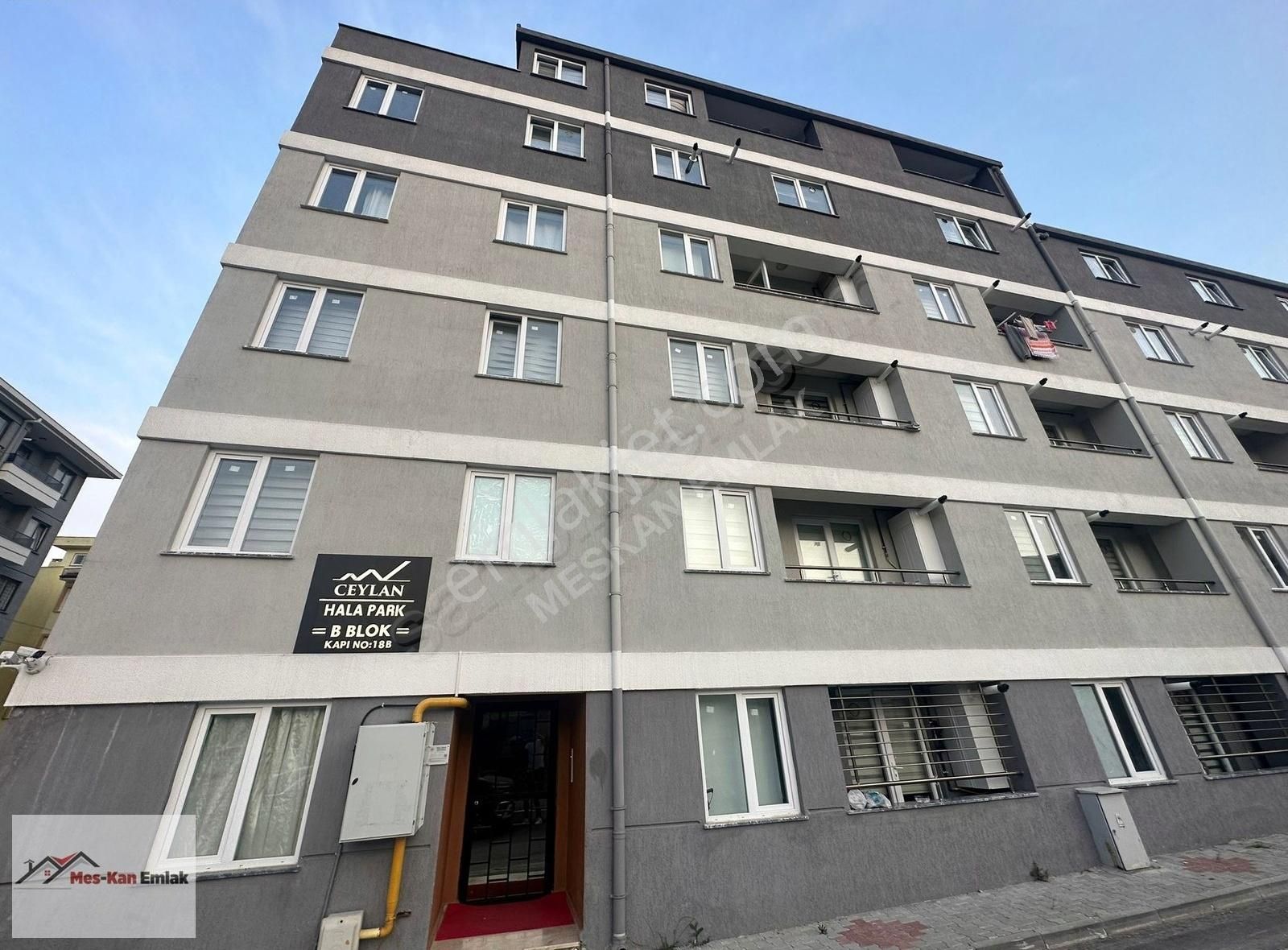 Meskan Dan Görüklede Giriş Katı 1+1 Eşyalı Kiralık
