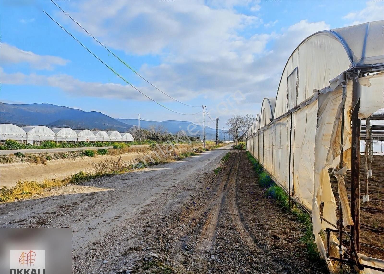 Okkalı Emlak Tan Emiralem Yayla Mah. Satılık Bahçe - Görsel 10