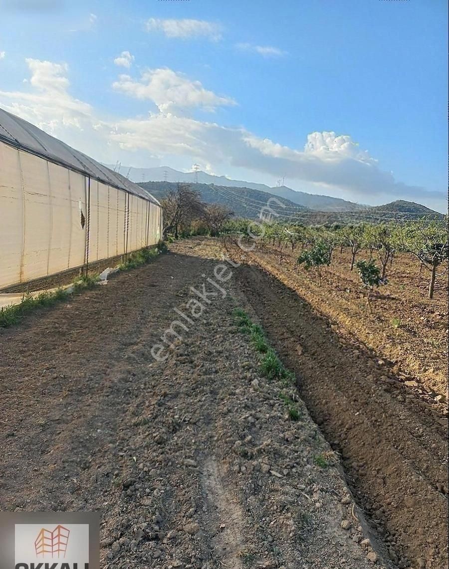 Okkalı Emlak Tan Emiralem Yayla Mah. Satılık Bahçe - Görsel 11