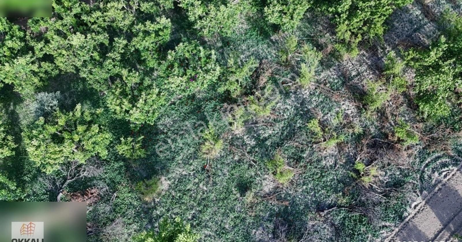 Okkalı Emlak Tan Emiralem Yayla Mah. Satılık Bahçe - Görsel 12