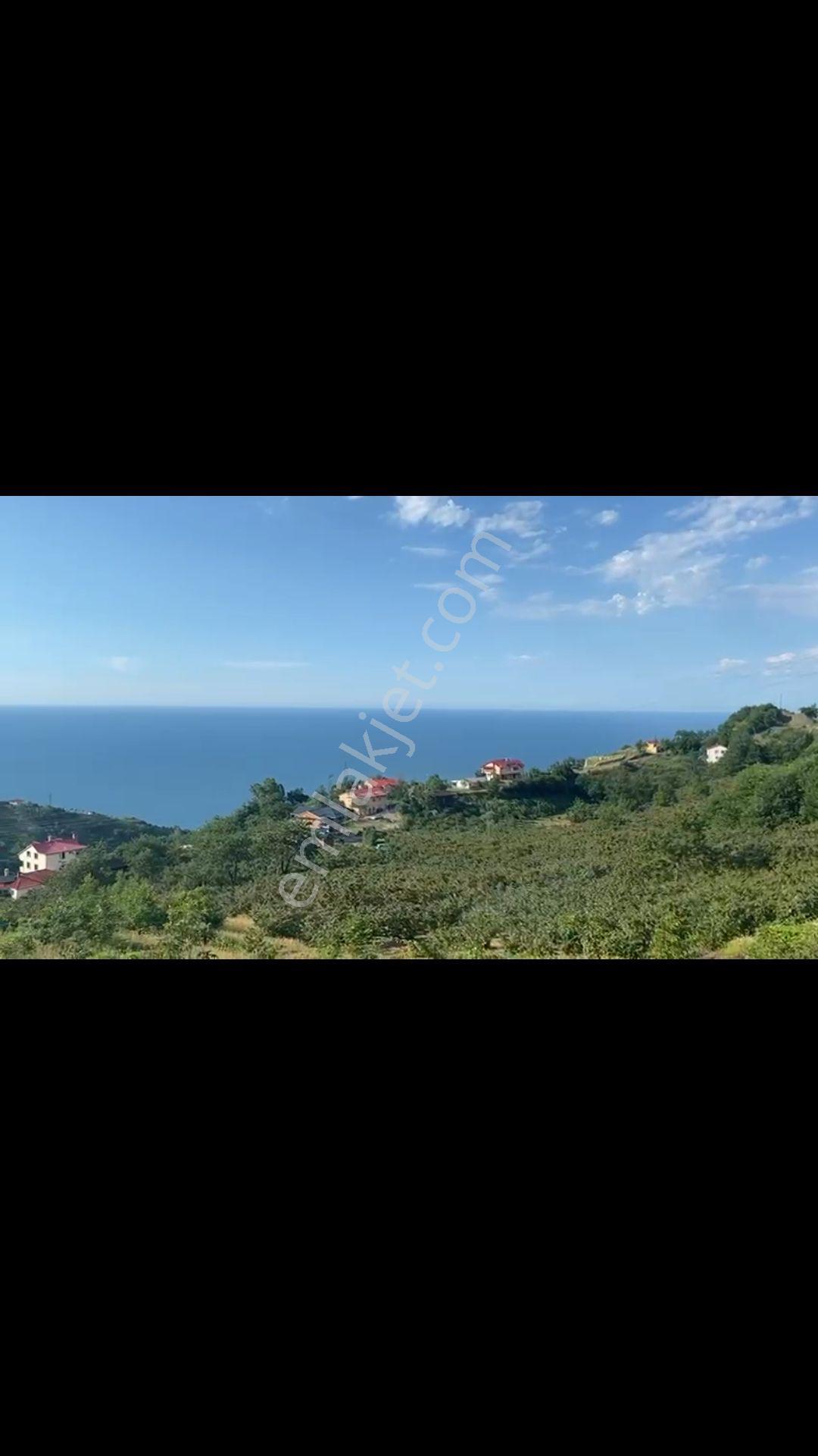 Deniz Doga Manz Villalık 1 Dönüm Arazi - Görsel 7