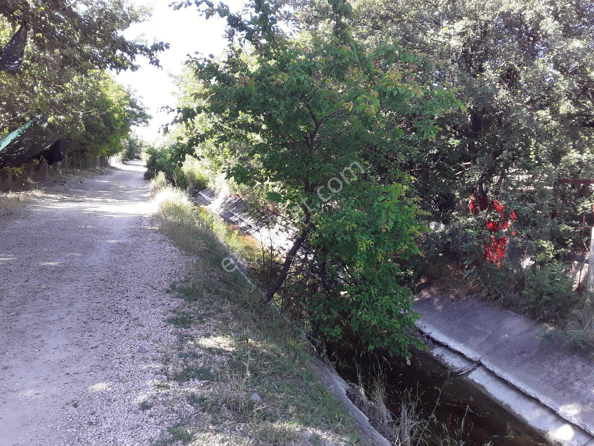 Keban Yolu Cip Mesire Yolu Satlık Hazır 4580 M2 Bahçe - Görsel 9