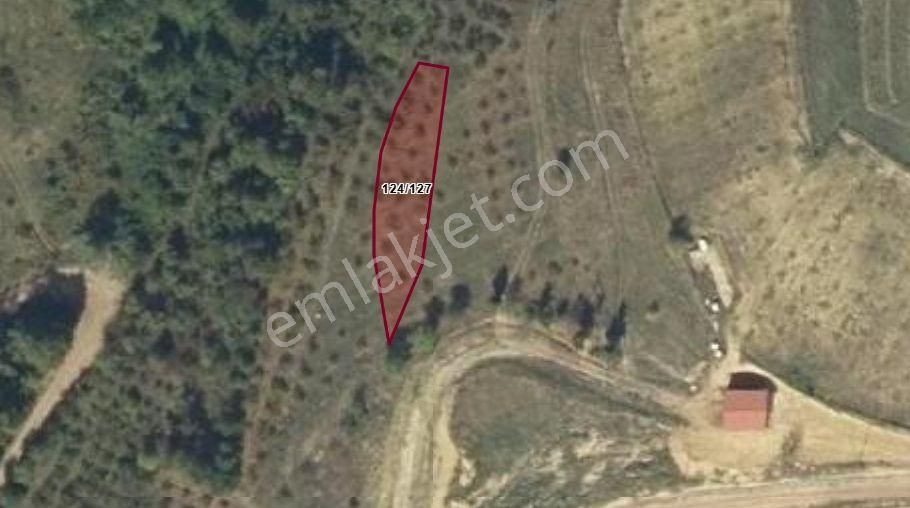 Kısalar’da Köy Yoluna 20 M. Cephe 607 M2 Fırsat Arazi