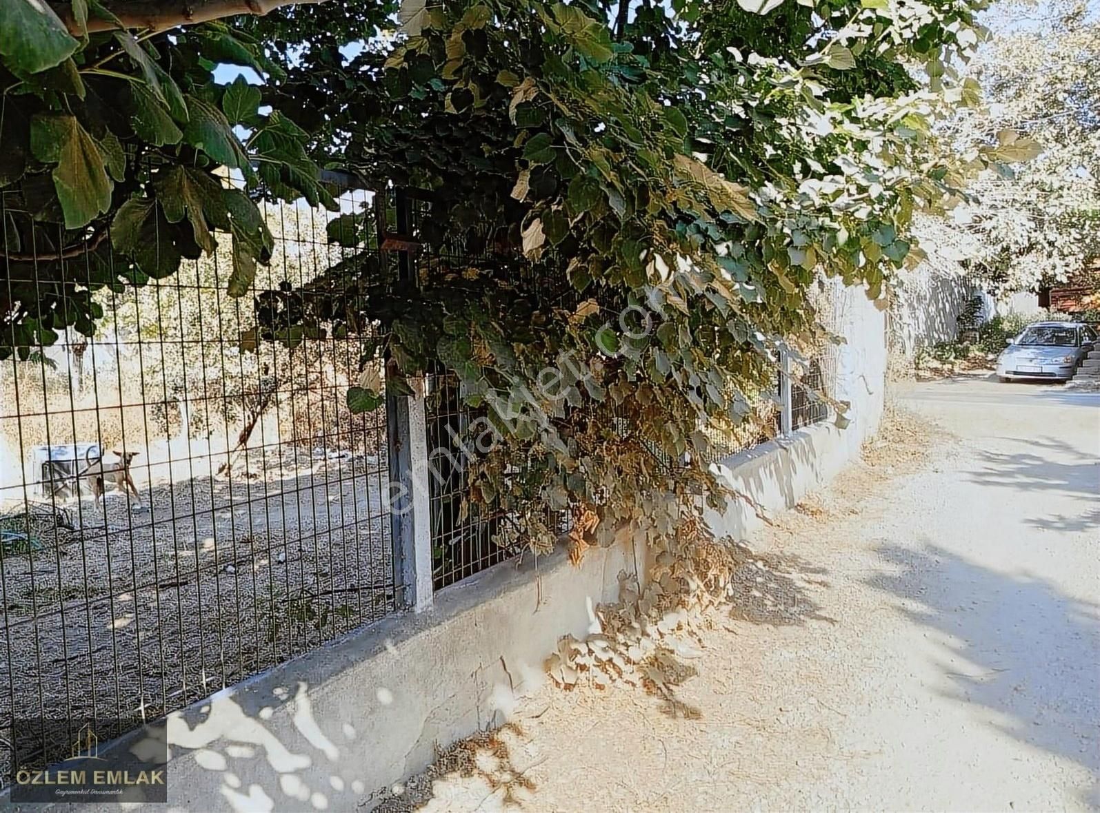 Erdek Çayağacı Mahallesi Köy İçinde 904 M2 Satılık Bahçe - Görsel 4