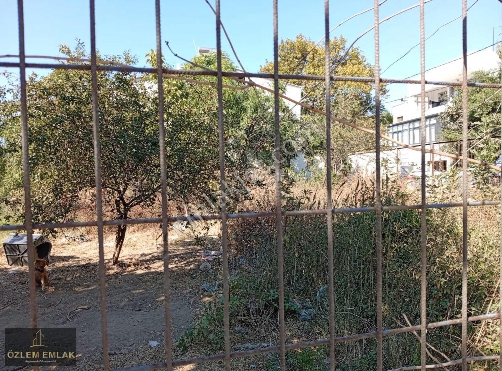 Erdek Çayağacı Mahallesi Köy İçinde 904 M2 Satılık Bahçe - Görsel 11