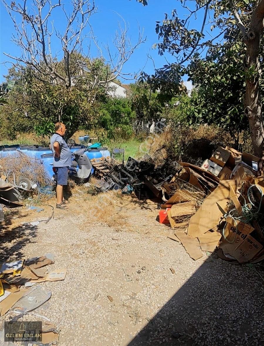 Erdek Çayağacı Mahallesi Köy İçinde 904 M2 Satılık Bahçe - Görsel 2