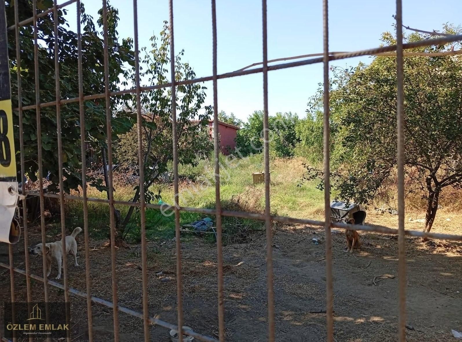 Erdek Çayağacı Mahallesi Köy İçinde 904 M2 Satılık Bahçe - Görsel 5