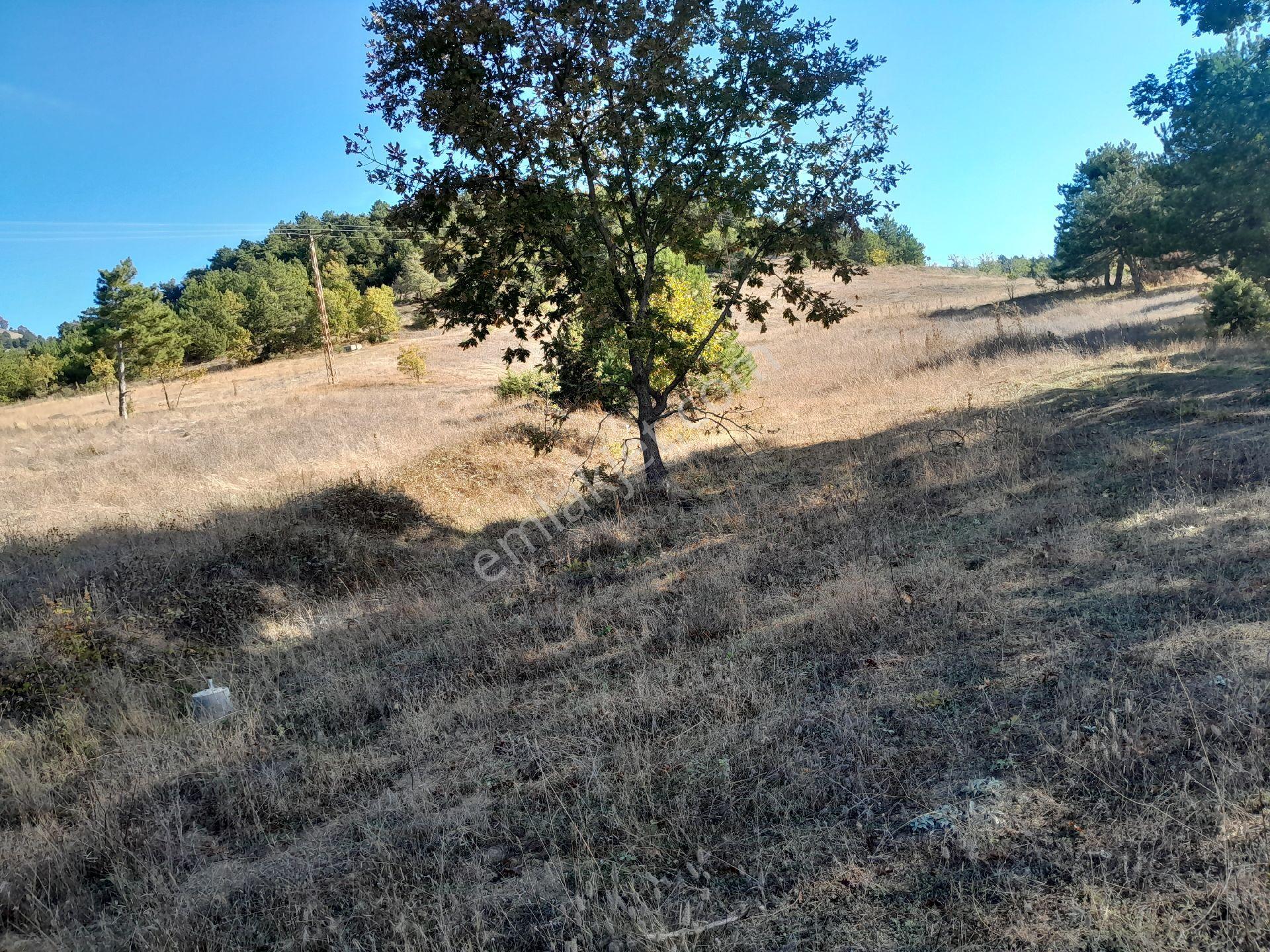 Yatırımlık Arazi - Görsel 14