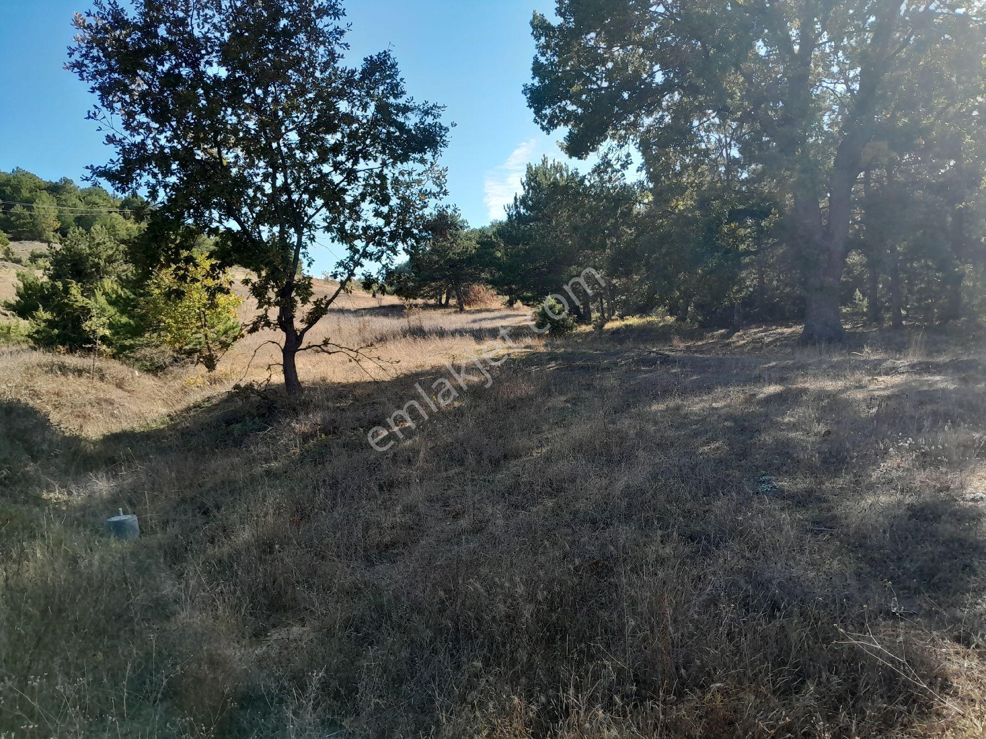 Yatırımlık Arazi - Görsel 8