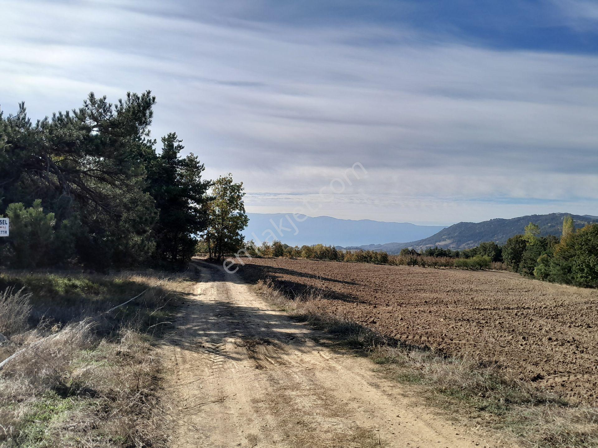 Yatırımlık Arazi - Görsel 6