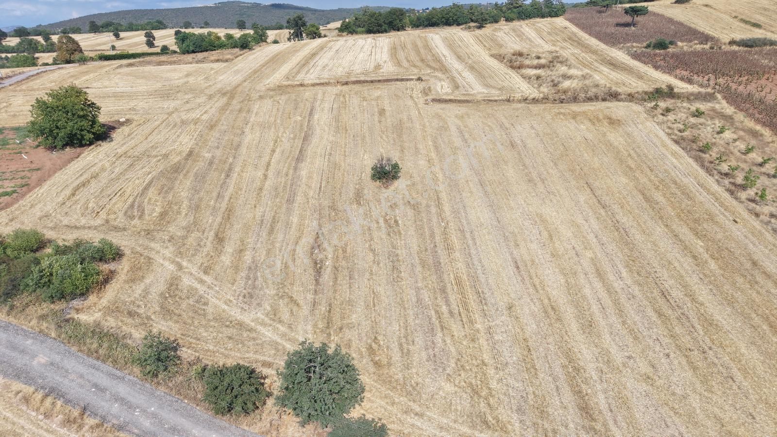 Bursa Yenişehir Günece Mah.yolu Mevcut 2645 M2 Satılık Tarla - Görsel 2