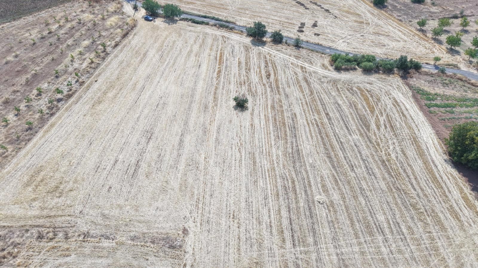 Bursa Yenişehir Günece Mah.yolu Mevcut 2645 M2 Satılık Tarla - Görsel 8