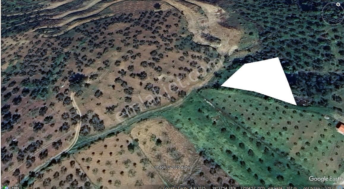 !!!yaylaönünde 1300 M2 Fırsat Zeytinlik!!! - Görsel 4