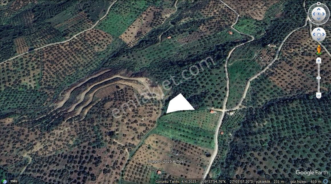 !!!yaylaönünde 1300 M2 Fırsat Zeytinlik!!! - Görsel 3