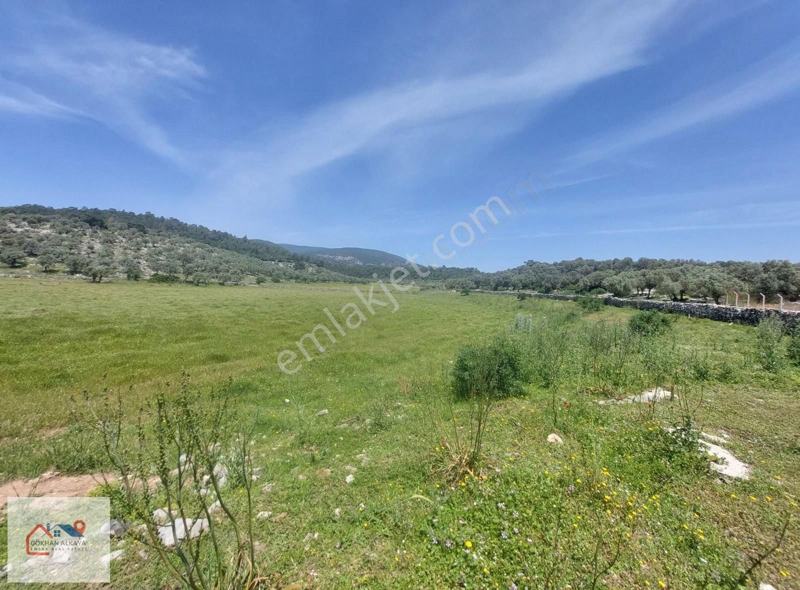 Muğla Milas Kıyıkışlacık Satılık Tarla 20.000m² Gökhan Alkaya'dn - Görsel 13