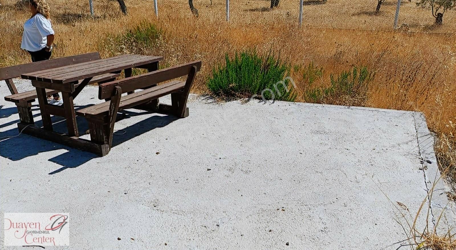 Tam Yatırımlık.çamlık Selçuk Güzergahı,yolu Asfalt.1914m2,acil S - Görsel 8