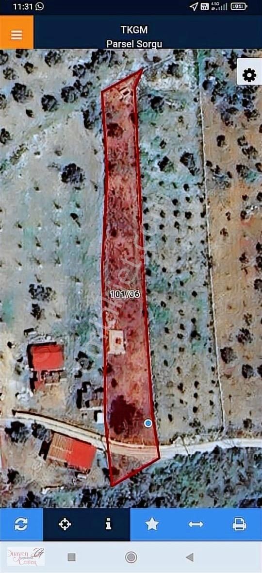 Tam Yatırımlık.çamlık Selçuk Güzergahı,yolu Asfalt.1914m2,acil S