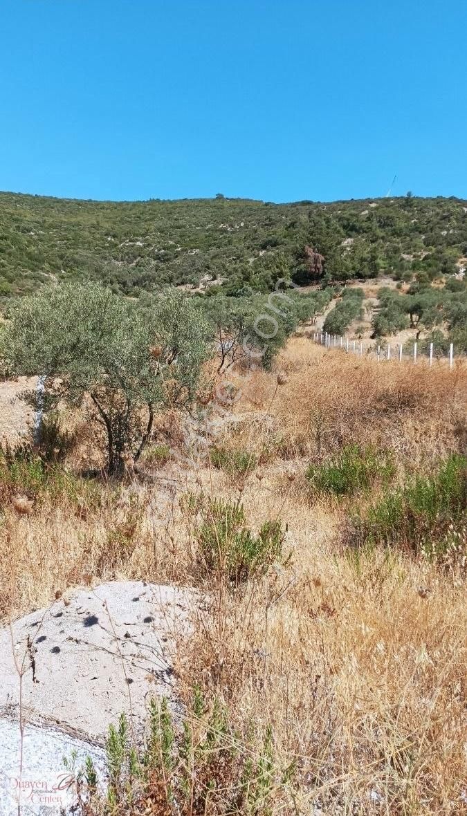 Tam Yatırımlık.çamlık Selçuk Güzergahı,yolu Asfalt.1914m2,acil S - Görsel 3