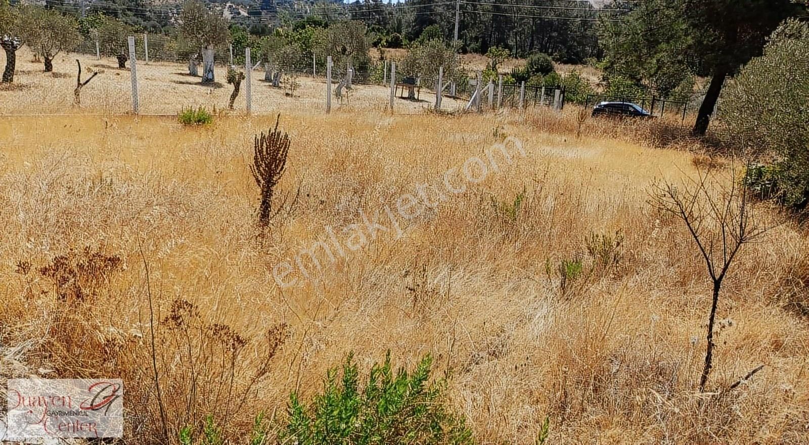 Tam Yatırımlık.çamlık Selçuk Güzergahı,yolu Asfalt.1914m2,acil S - Görsel 12