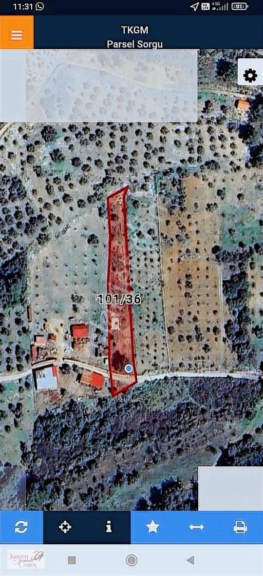 Tam Yatırımlık.çamlık Selçuk Güzergahı,yolu Asfalt.1914m2,acil S - Görsel 7