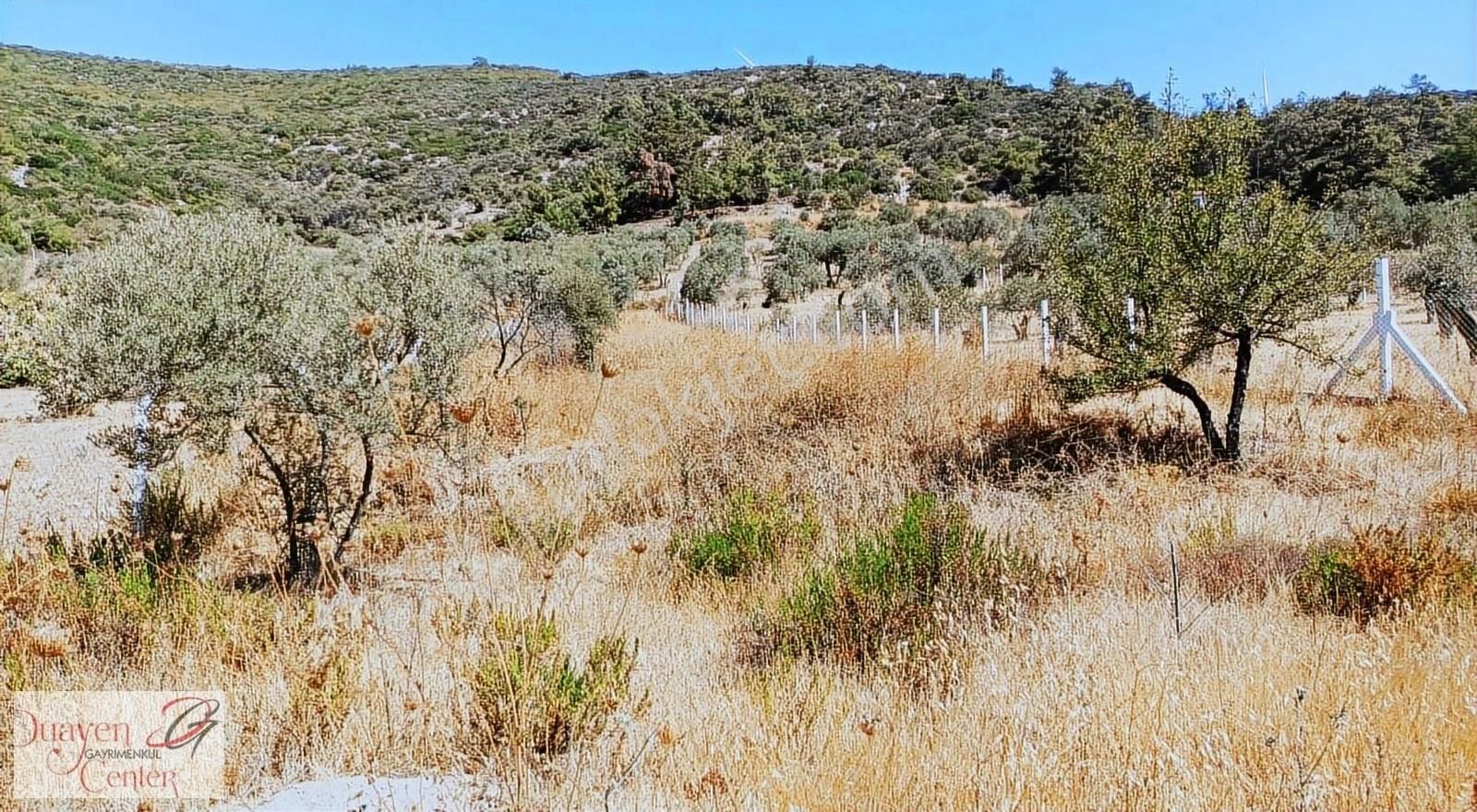 Tam Yatırımlık.çamlık Selçuk Güzergahı,yolu Asfalt.1914m2,acil S - Görsel 9