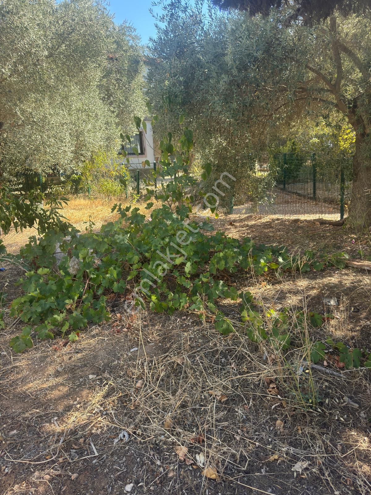 Bodrum Torba'da Havuzlu Site İçerisinde Müstakil Dubleks - Görsel 24