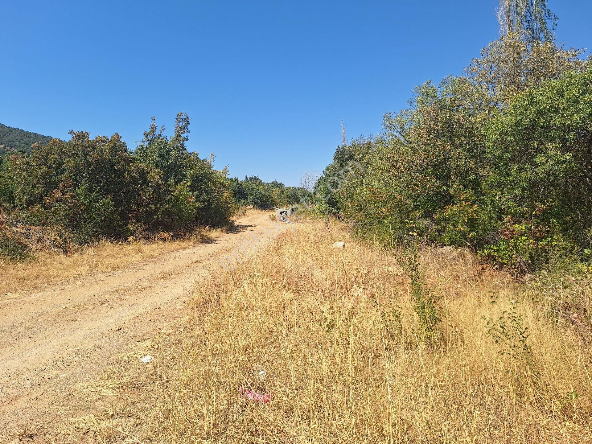 Daglı Emlaktan Ilıcak Mahallesinde - Görsel 3