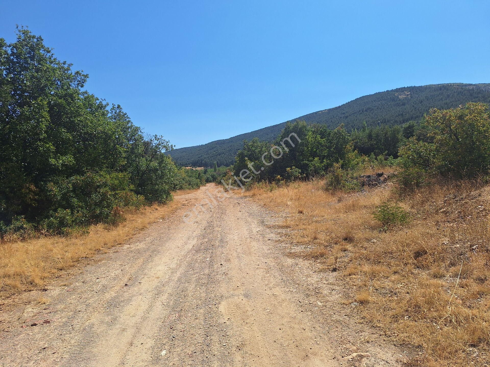 Daglı Emlaktan Ilıcak Mahallesinde