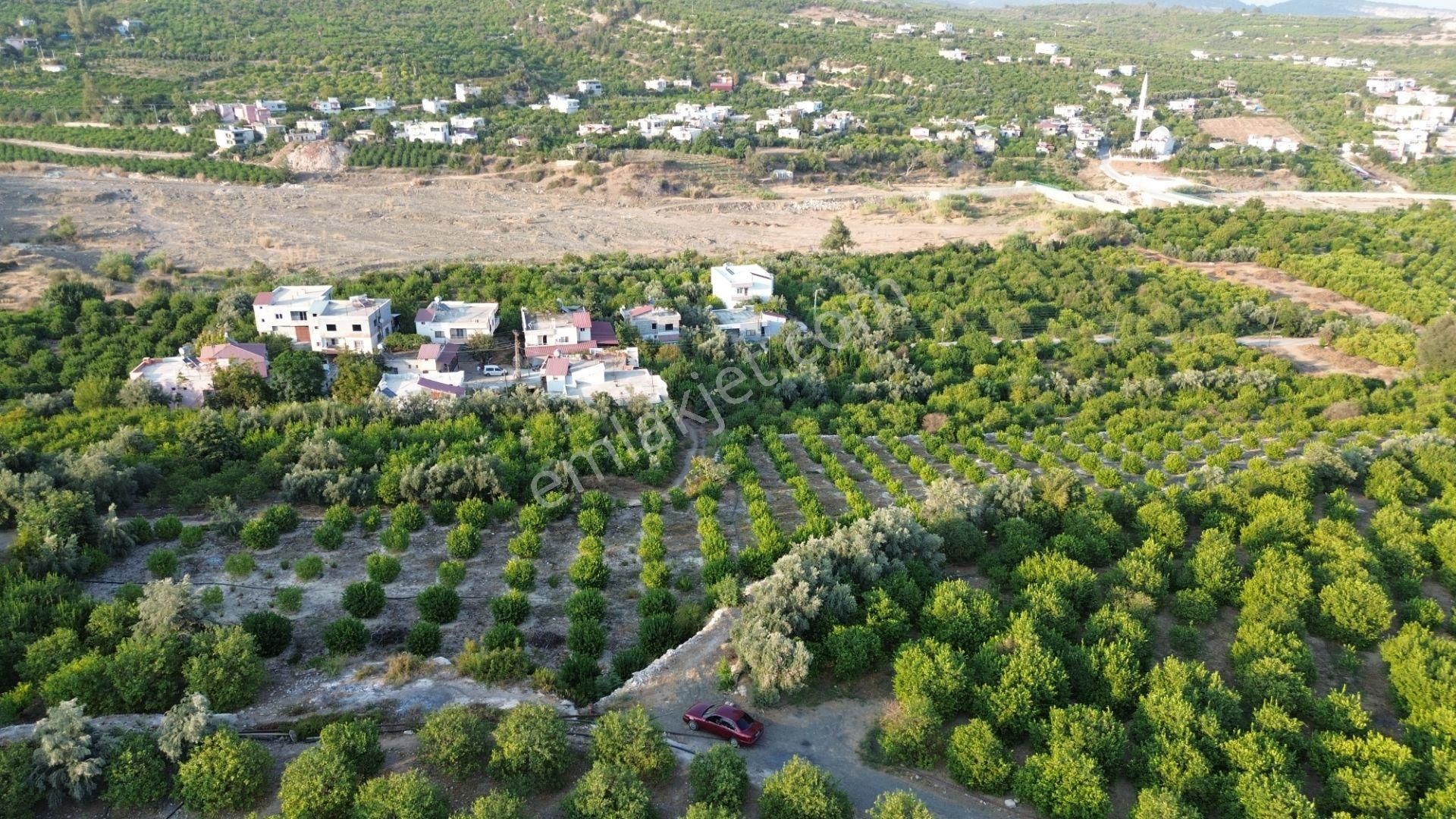 Doğa Ve Deniz Manzaralı Bakımlı Limon Bahçesi - Görsel 12