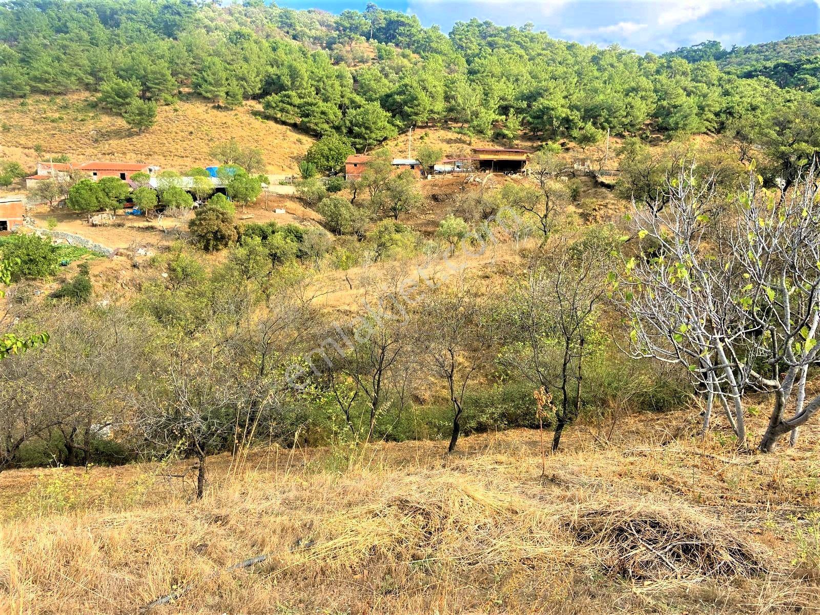 Kardeşten Küçükdere'de Harika Doğa Manzaralı 1400 M² İmarlı Arsa - Görsel 20