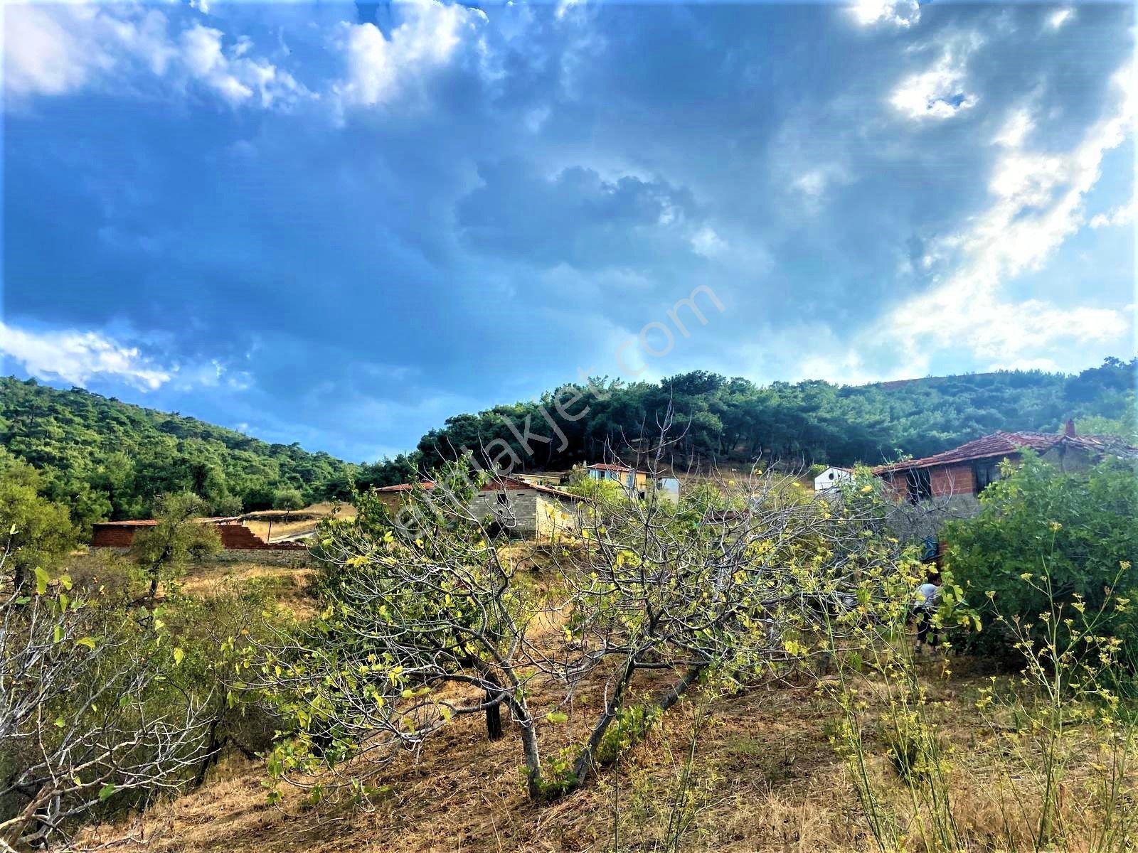 Kardeşten Küçükdere'de Harika Doğa Manzaralı 1400 M² İmarlı Arsa - Görsel 15