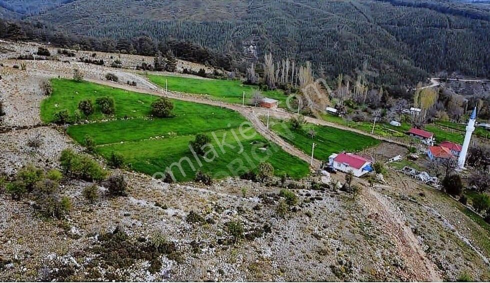 Satılık Müstakil Tapulu 2874 M2 - Görsel 5