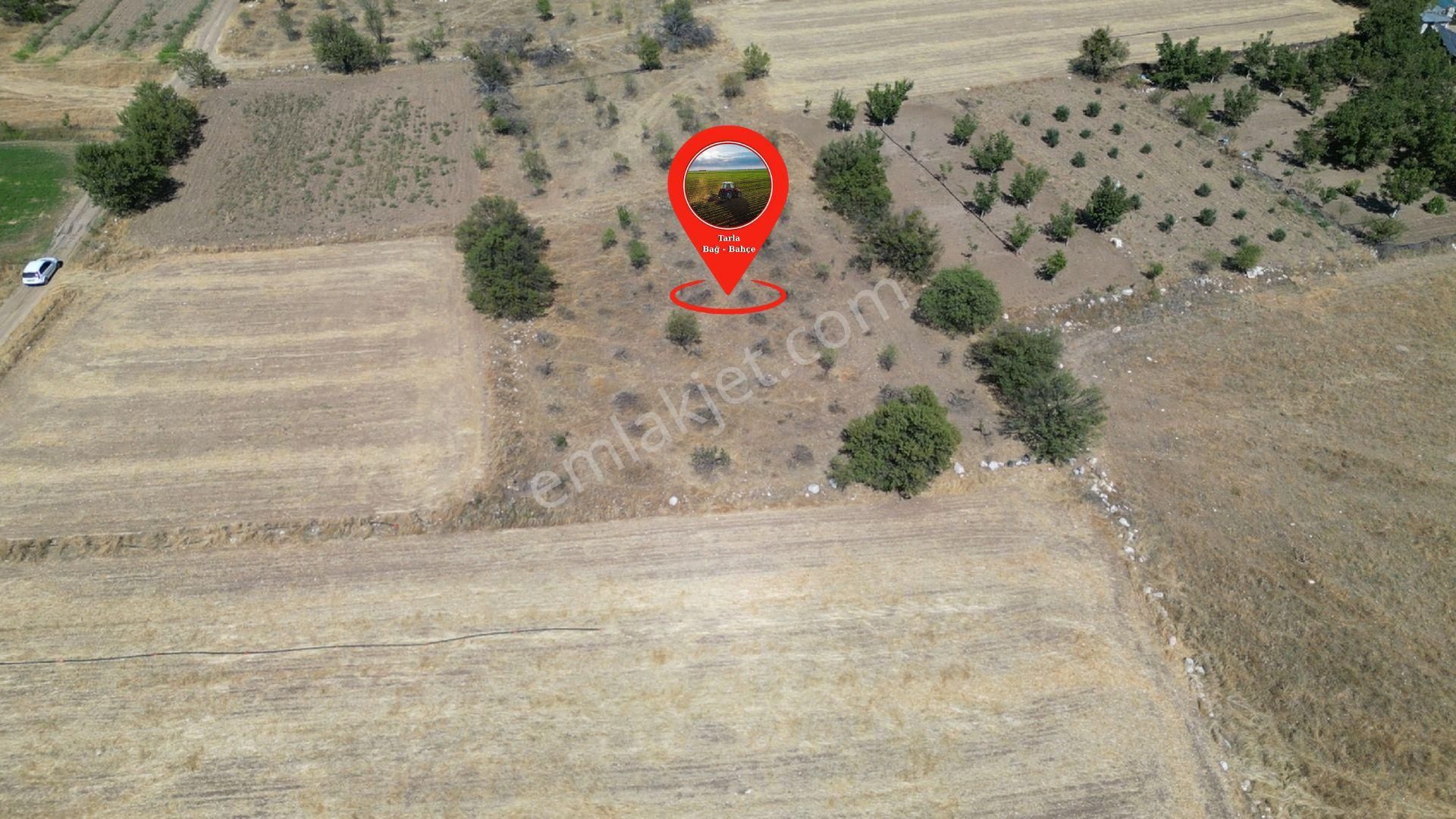 Son Fiyat* Acil Satılık Burdur Yeşılova Yarışlı 1.300 M² Müstakil Tarla - Görsel 2