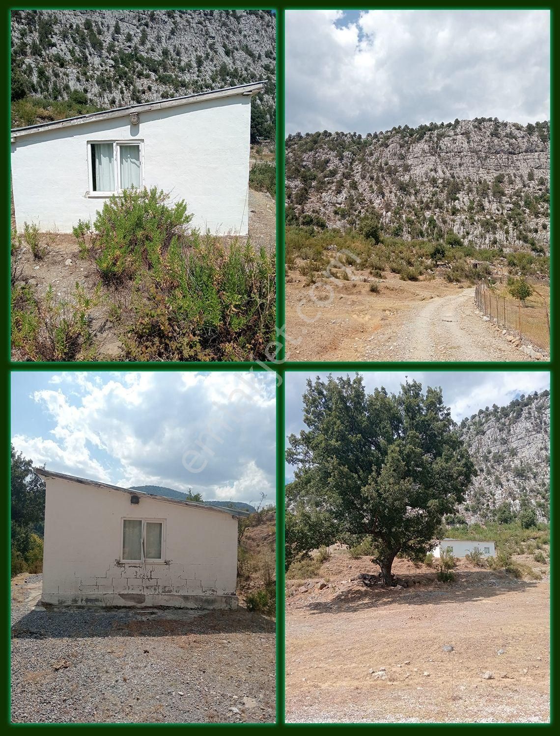 Bodrum Kumköy Mahallesinde Satılık Köy Evi Ve Tarlası
