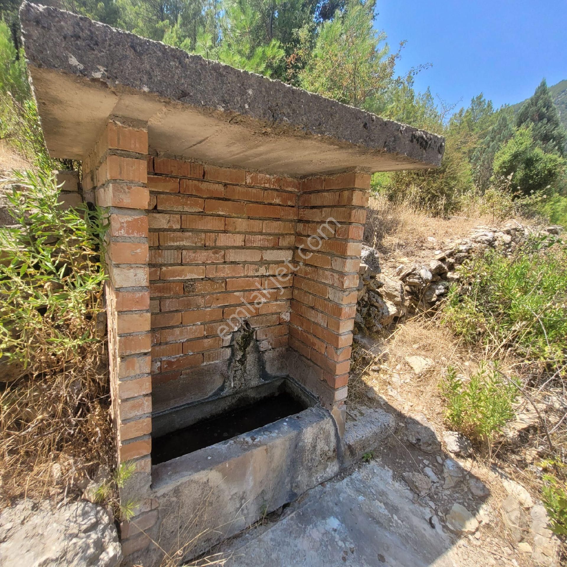 Trent Emlaktan Akseki Erenyaka'da 990 M² Satılık Tarla - Görsel 9