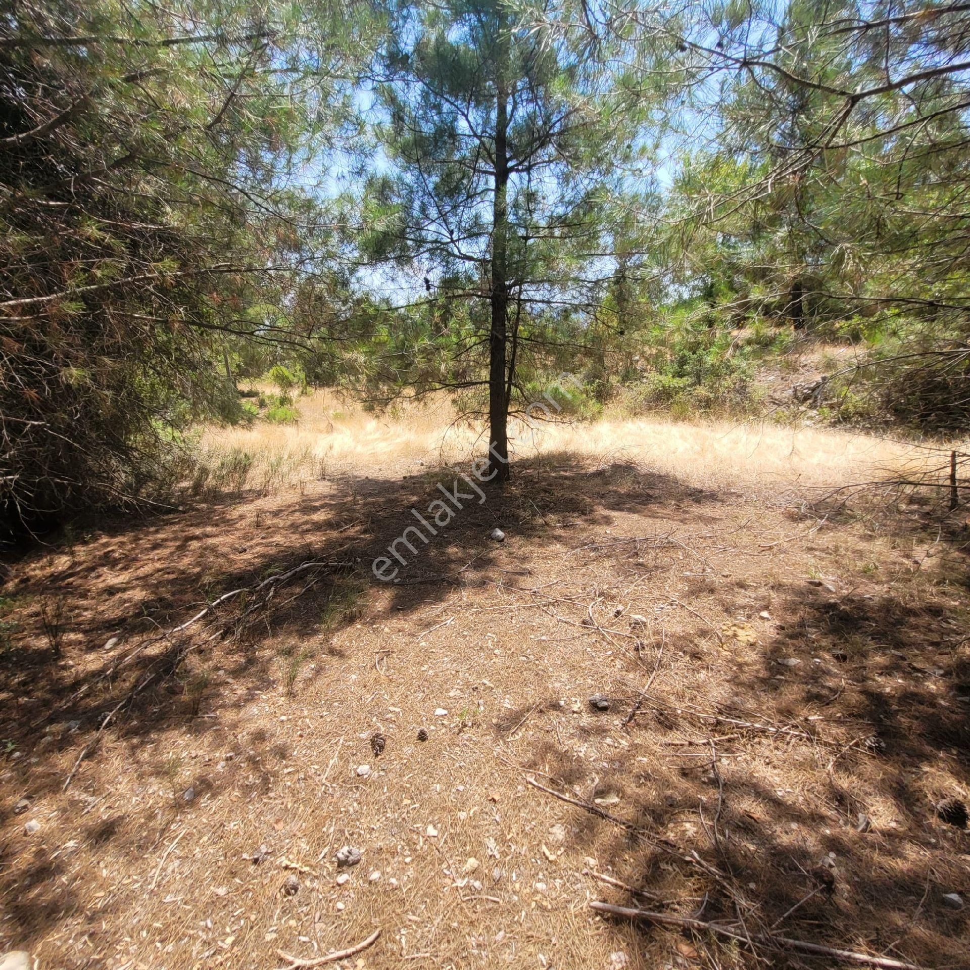 Trent Emlaktan Akseki Erenyaka'da 990 M² Satılık Tarla - Görsel 12