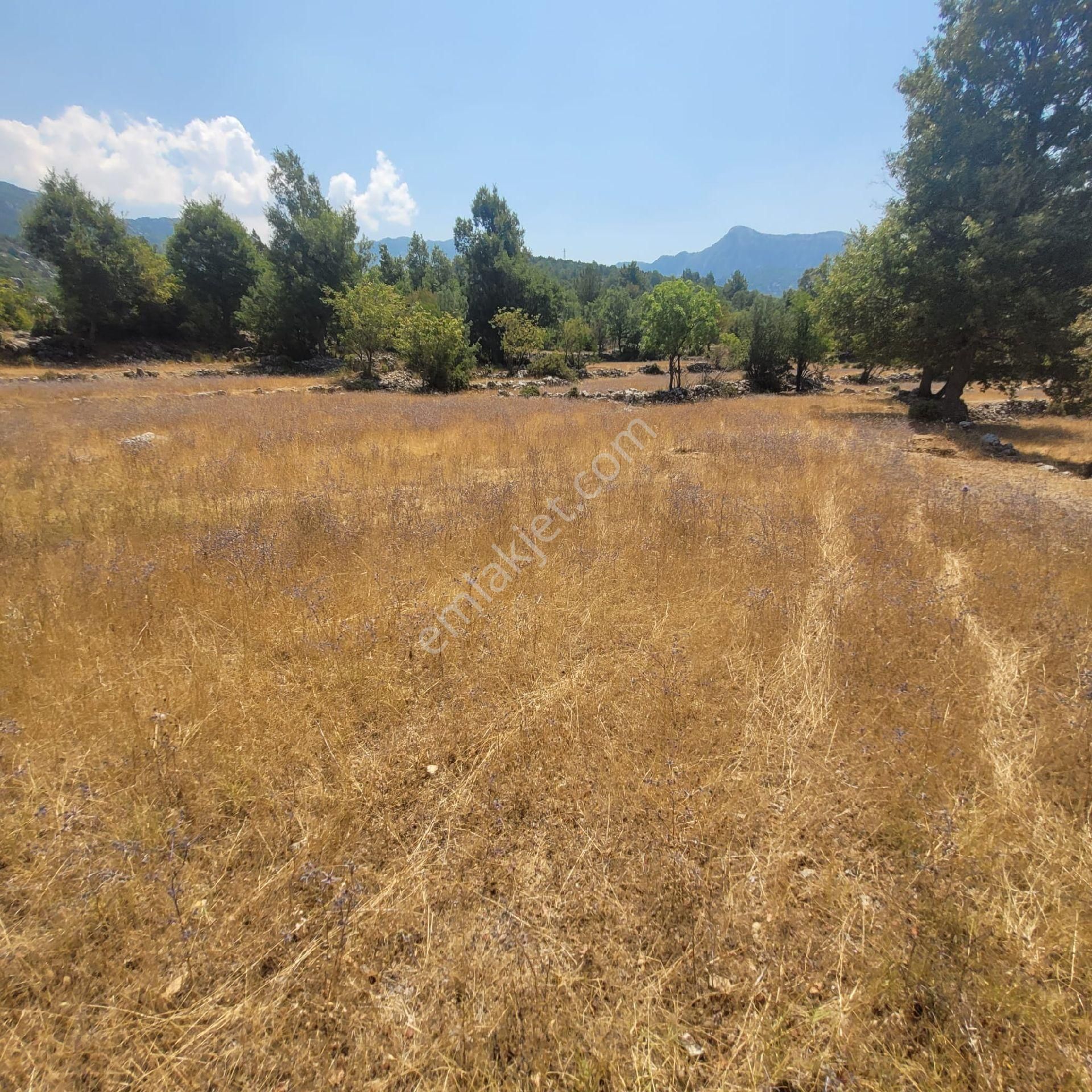 Trent Emlaktan Akseki Mahmutlar'da 1.167 M² Satılık Tarla - Görsel 11