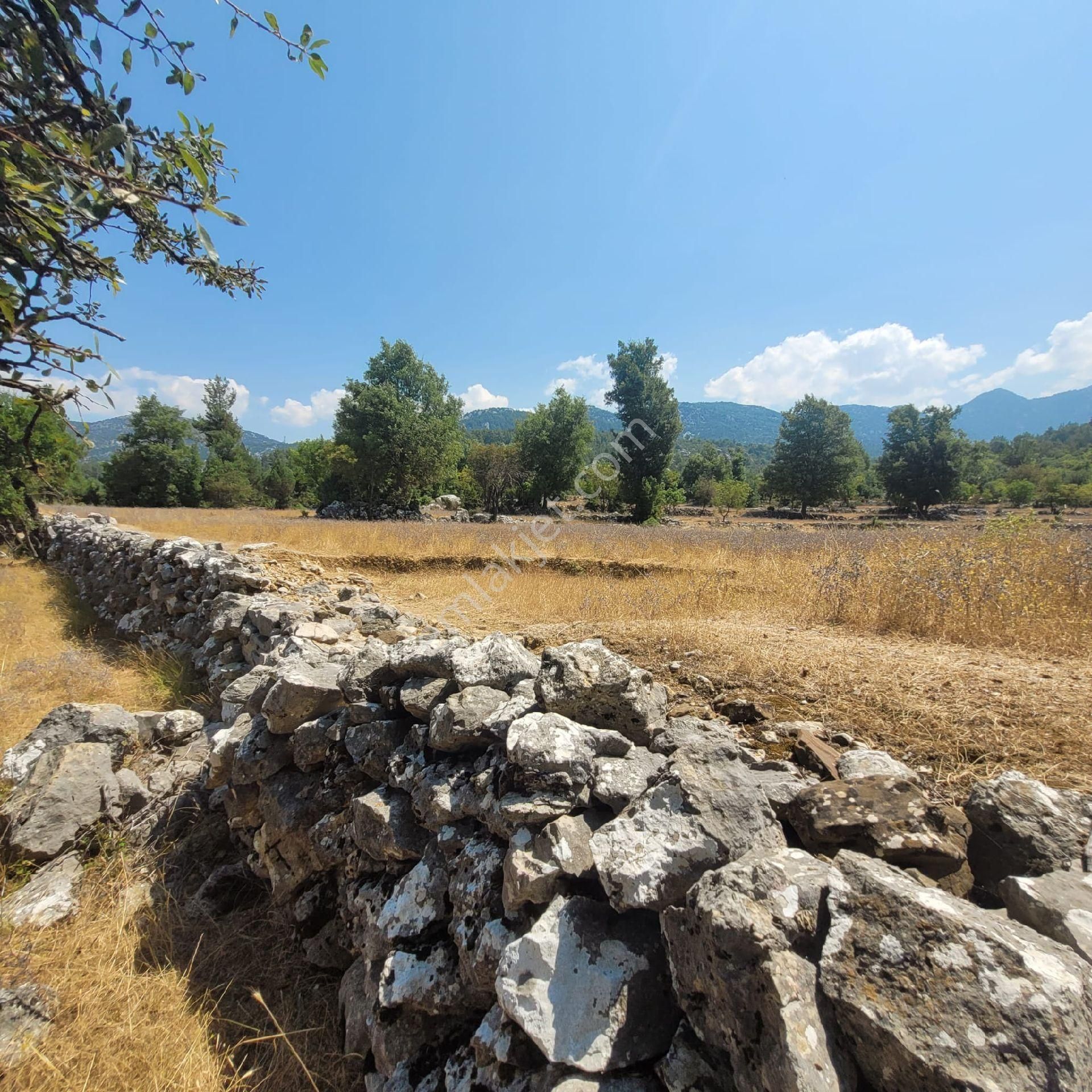 Trent Emlaktan Akseki Mahmutlar'da 1.167 M² Satılık Tarla - Görsel 9