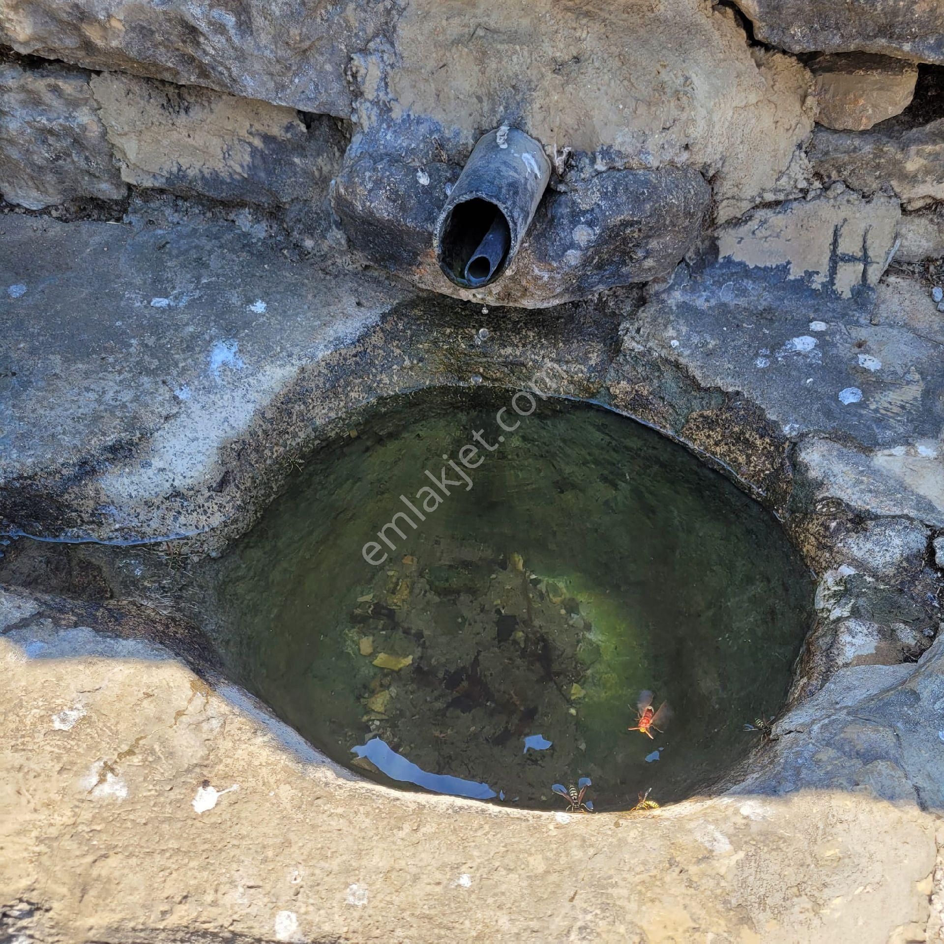 Trent Emlaktan Akseki Mahmutlar'da 1.167 M² Satılık Tarla - Görsel 6