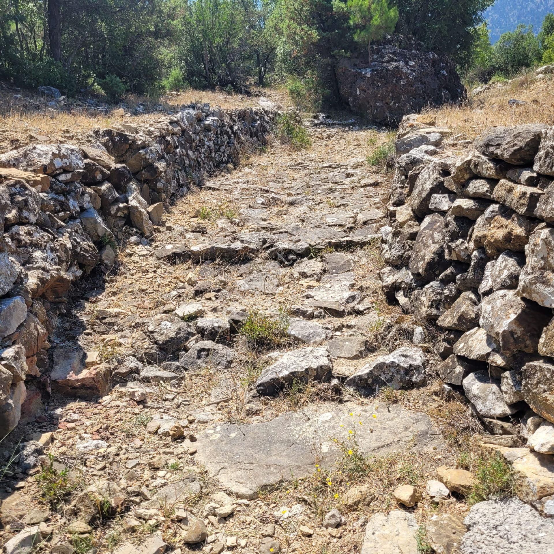 Trent Emlaktan Akseki Mahmutlar'da 1.167 M² Satılık Tarla - Görsel 7