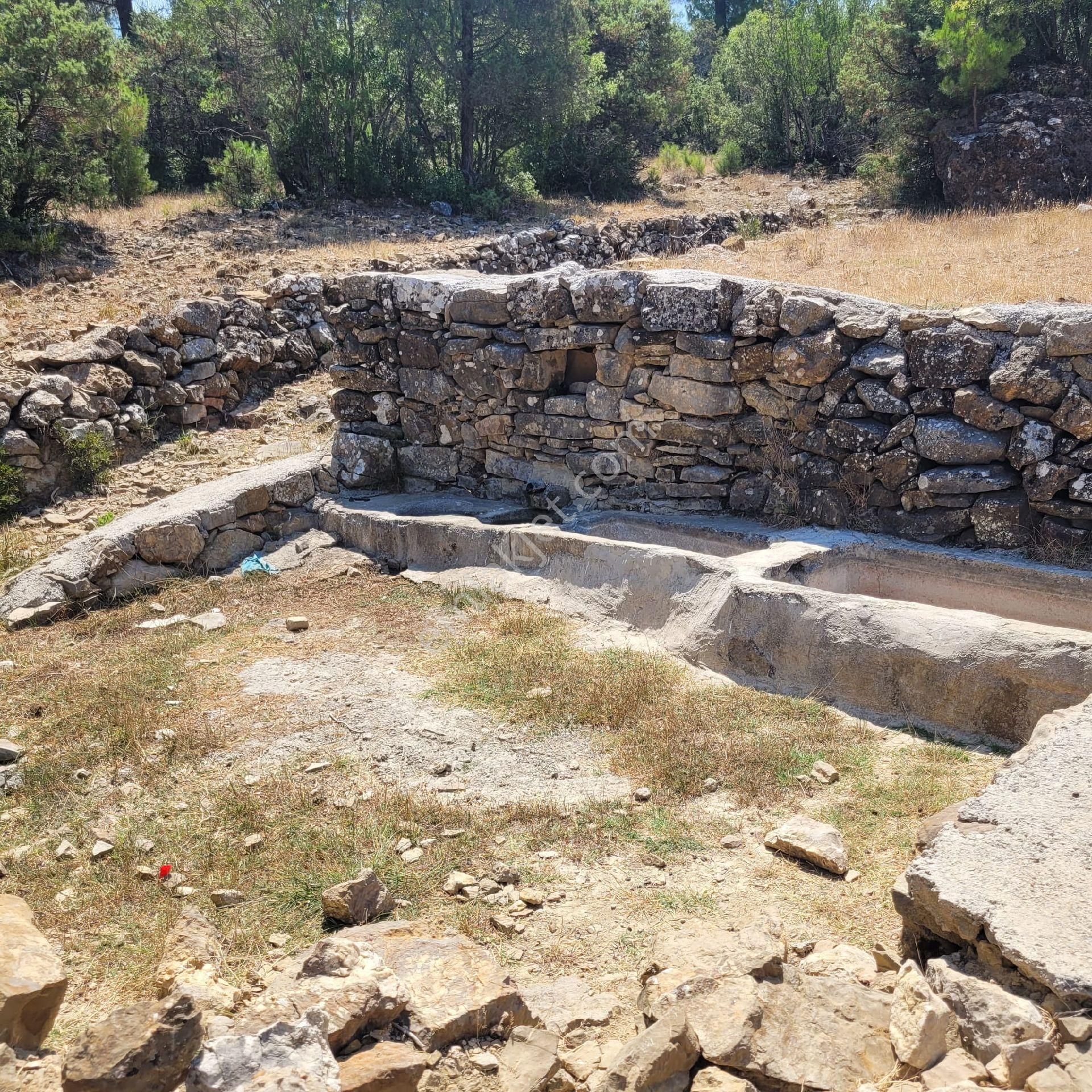 Trent Emlaktan Akseki Mahmutlar'da 1.167 M² Satılık Tarla - Görsel 4