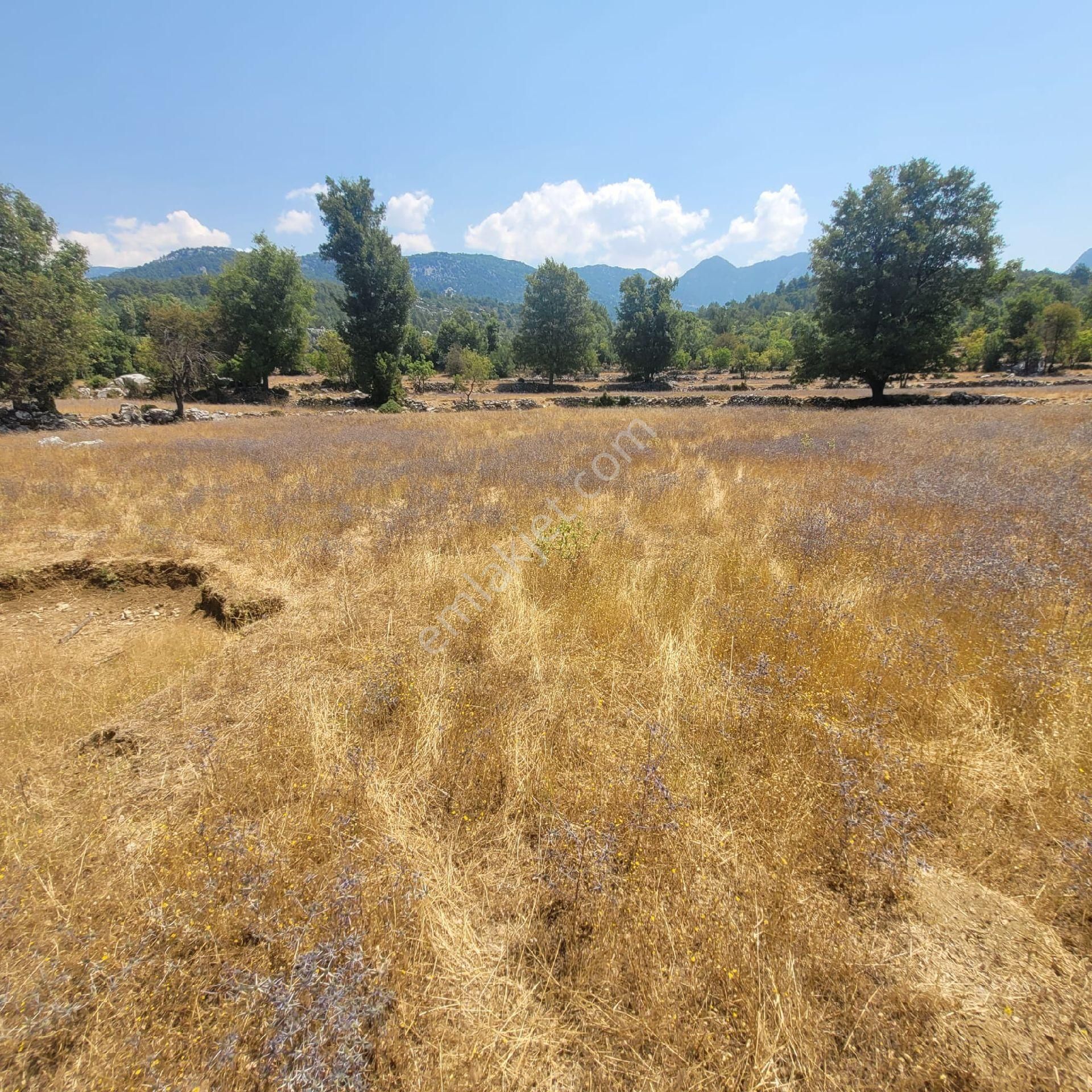 Trent Emlaktan Akseki Mahmutlar'da 1.167 M² Satılık Tarla - Görsel 10