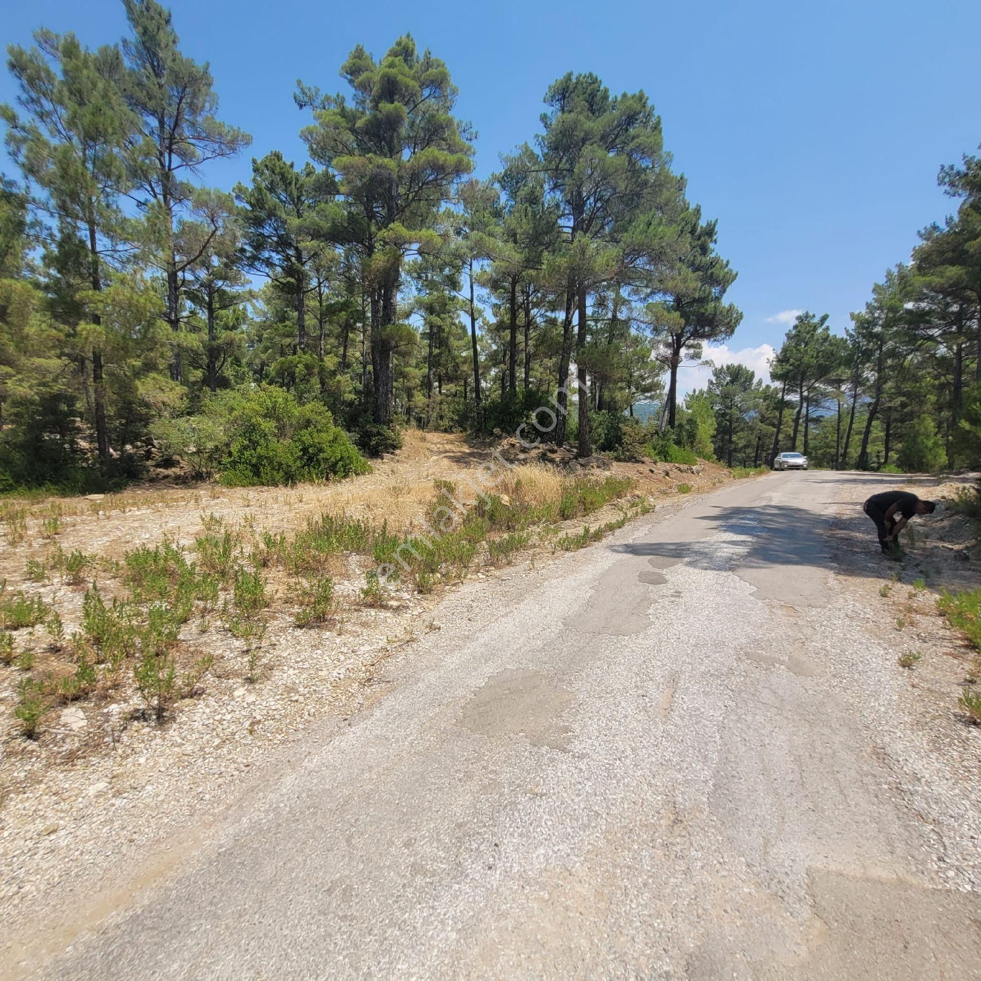 Trent Emlaktan Akseki Erenyaka'da 636 M² Satılık Tarla - Görsel 4