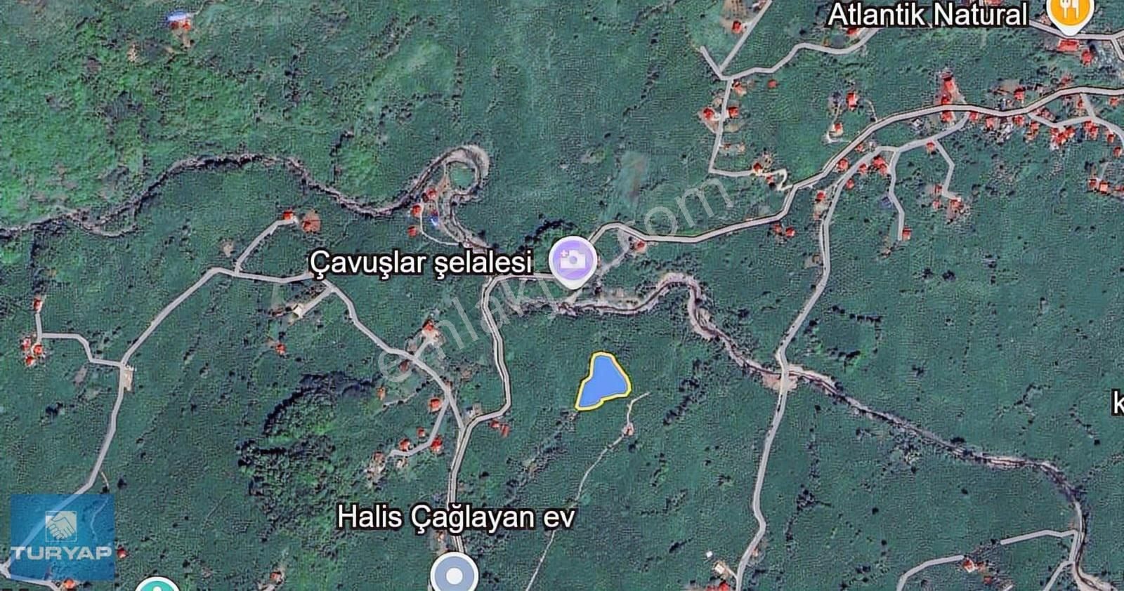 Ordu Altınordu Teyneli Mahallesi'nde Yola Cephe, Doğa İçinde! - Görsel 9
