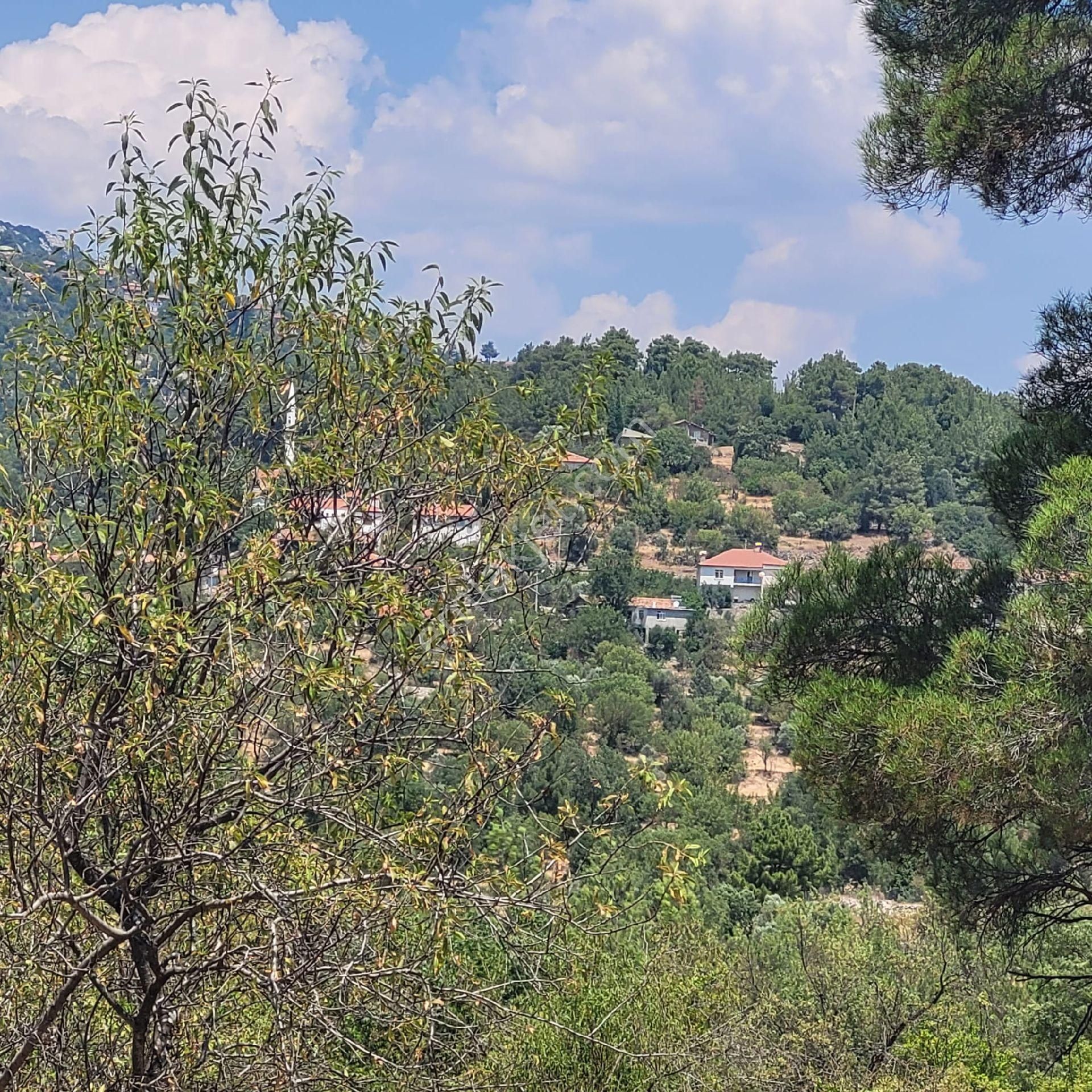 Trent Emlaktan Akseki Aşağıaşıklar Köyünde 541 M² Satılık Tarla - Görsel 2