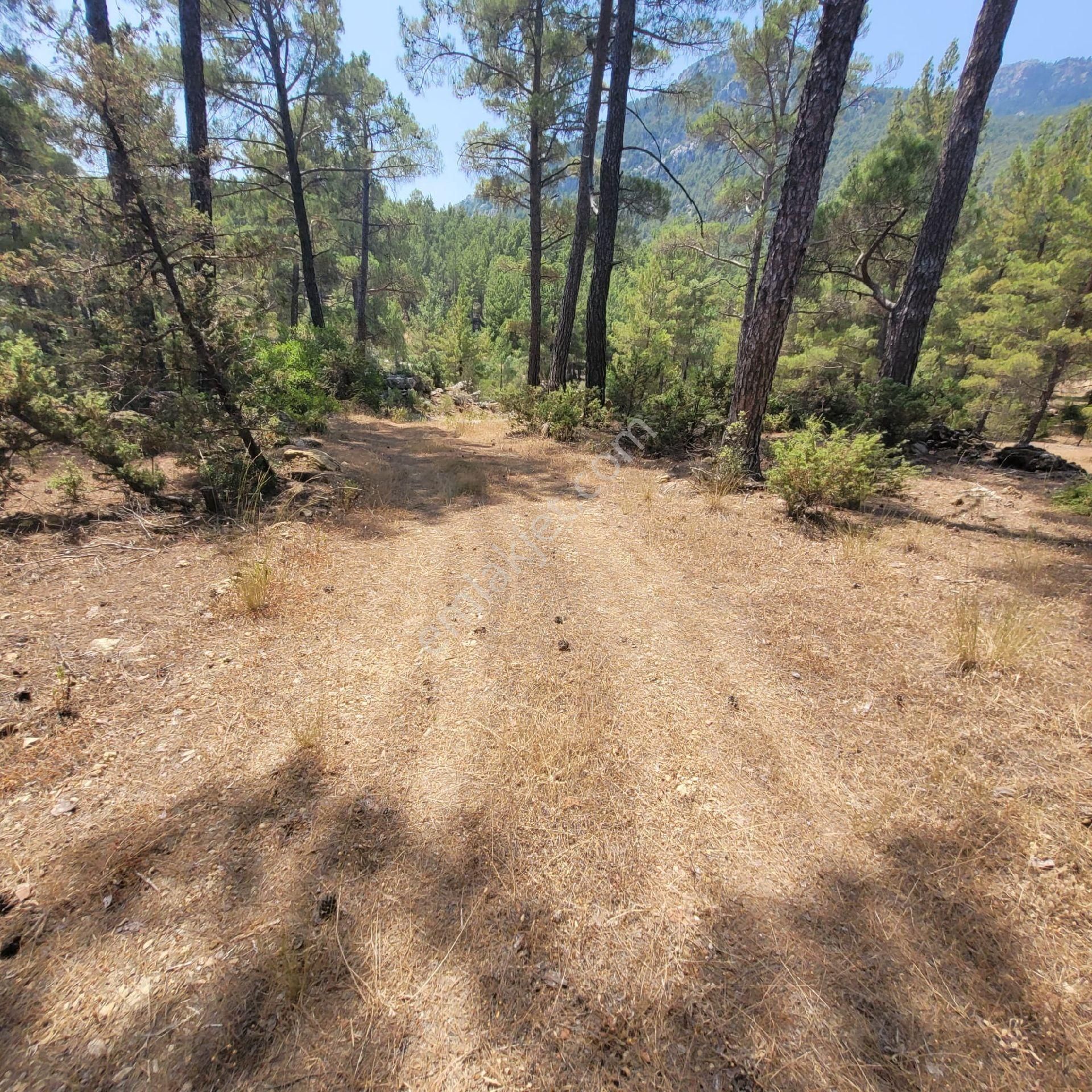 Trent Emlaktan Akseki Aşağıaşıklar Köyünde 541 M² Satılık Tarla - Görsel 7